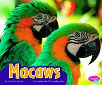 Macaws (Pebble Plus)