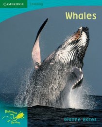 Pobblebonk Reading 5.5 Whales