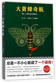 Hornet Flight (Chinese Edition)