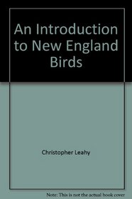 An Introduction to New England Birds