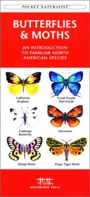 Butterflies & Moths: An Introduction to Familiar North American Species