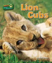 Lion Cubs (Wild Baby Animals)