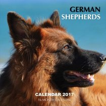 German Shepherds Calendar 2017: 16 Month Calendar