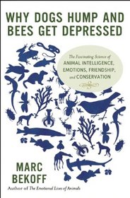 Why Dogs Hump and Bees Get Depressed: The Fascinating Science of Animal Intelligence, Emotions, Friendship, and Conservation