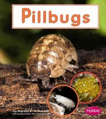 Pillbugs (Pebble Books)