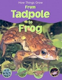 How Things Grow From Tadpole to Frog