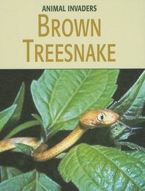 Brown Treesnake (Animal Invaders)