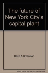 The future of New York City's capital plant: A case study of trends and prospects affecting the city's public infrastructure (America's urban capital stock)