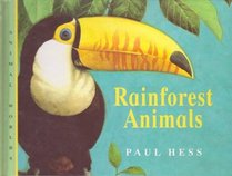 Rainforest Animals