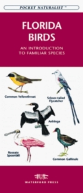 Florida Birds: An Introduction to Familiar Species (Pocket Naturalist)