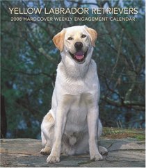 Labrador Retrievers, Yellow 2008 Hardcover Weekly Engagement Calendar (German, French, Spanish and English Edition)