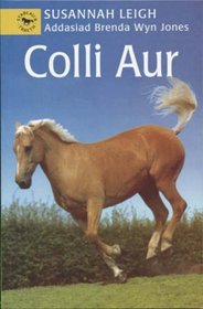 Colli Aur (Cyfres Stablau'r Traeth) (Welsh Edition)