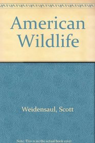 American Wildlife