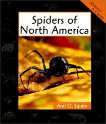 Spiders of North America (Animals in Order)