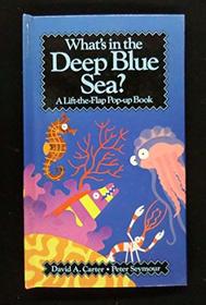 What's in the Deep Blue Sea? (Lift-The-Flap Pop-Up Book)