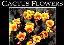 Cactus Flowers (Postcard Books)