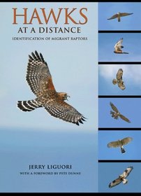 Hawks at a Distance: Identification of Migrant Raptors