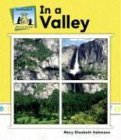 In a Valley (What Do You See?)
