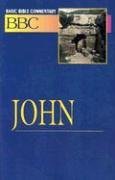 Basic Bible Commentary John Volume 20 (Abingdon Basic Bible Commentary)