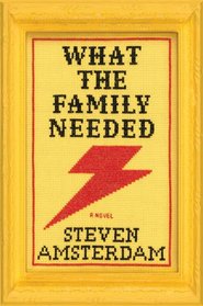 What the Family Needed: A Novel