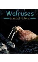 Walruses (Pebble Books)