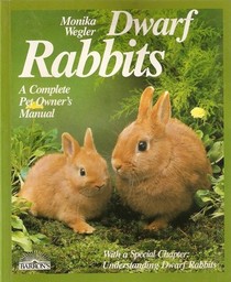 Dwarf Rabbits: Everything about Purchase, Diet, and Care to Keep Rabbits Healthy