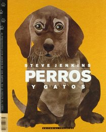 Perros y gatos/ Dogs and Cats (Albumes Ilustrados) (Spanish Edition)