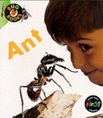 Ant (Bug Books)