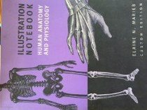 Illustration Notebook (Human Anatomy and Physiology)