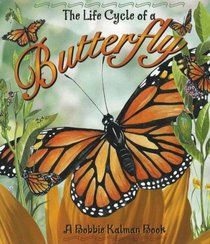 The Life Cycle of a Butterfly (The Life Cycle)