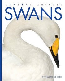 Swans (Amazing Animals)