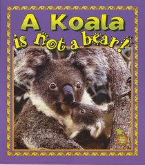 A Koala Is Not a Bear! (Crabapples)