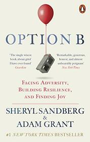 Option B: Facing Adversity, Building Resilience, and Finding Joy (191 POCHE)
