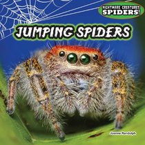 Jumping Spiders (Nightmare Creatures: Spiders!)