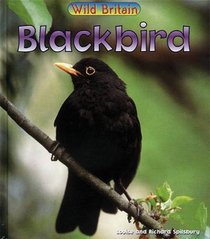 Blackbird: Guided Reading Pack (Wild Britain)
