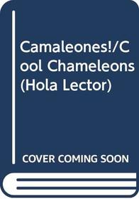 Camaleones! (Cool Chameleons!) (Coleccion)