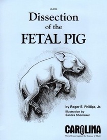 Dissection of the Fetal Pig