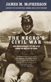 The Negro's Civil War (Blacks in the New World)