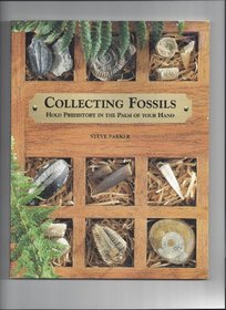 Collecting Fossils (Collecting)