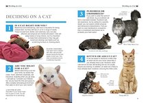 101 Essential Tips: Cat Care: Breaks Down the Subject into 101 Easy-to-Grasp Tips