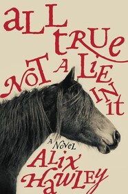 All True Not a Lie in It: A Novel