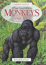 A Visual Introduction to Monkeys and Apes (Animal Watch)