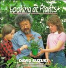 Looking at Plants