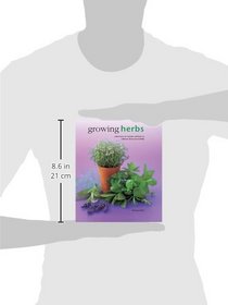 Growing Herbs: A Directory Of Varieties And How To Cultivate Them Successfully