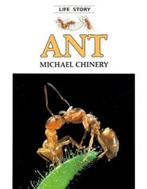 Ant (Life Story)
