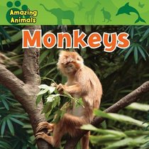 Monkeys (Amazing Animals)