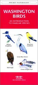 Washington Birds (Pocket Naturalist)
