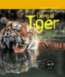 Bengal Tiger (Animals in Danger)