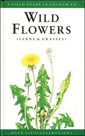 A Field Guide to Wild Flowers, Ferns and Grasses