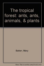 The tropical forest: ants, ants, animals, & plants